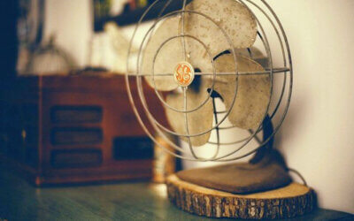 Ce avantaje si dezavantaje are sezonul de vara?