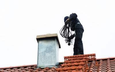 Cum se mentine un cos de fum curat?