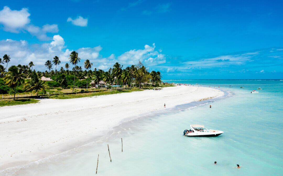 Care sunt serviciile oferite de Seanergya?