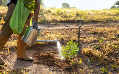 De unde poti cumpara produse pentru ferma ta?