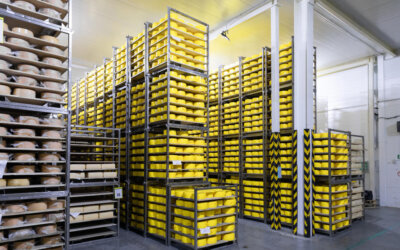 De unde poti cumpara rafturi metalice?