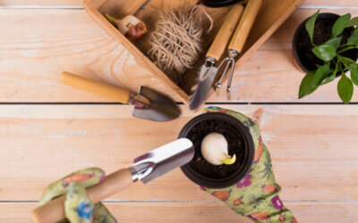 Cele mai importante unelte pentru o grădină cu flori