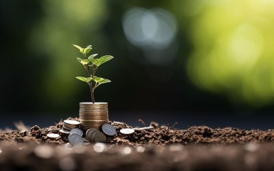 Descoperă 4 afaceri profitabile pe care le poți începe chiar acum!