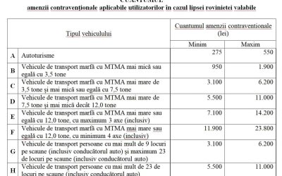 5 Pași simpli prin care verifici valabilitatea documentelor auto